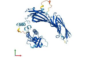 Protein Structure (PS) image for Adaptor-Related Protein Complex 2, mu 1 Subunit (AP2M1) (AA 1-435) protein (His tag) (ABIN7552308)