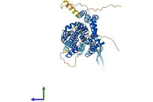 Protein Structure (PS) image for Solute Carrier Family 1 (Glutamate/Neutral Amino Acid Transporter), Member 4 (SLC1A4) (AA 1-532) protein (His tag) (ABIN7545891)