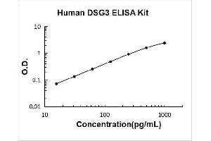 Desmoglein 3 (DSG3) ELISA Kit