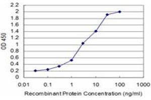 Detection limit for recombinant GST tagged SMAD5 is approximately 0. (SMAD5 抗体  (AA 105-182))