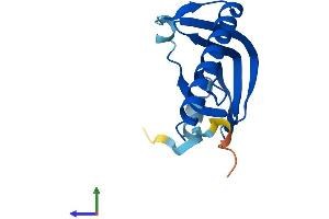 AlphaFold protein structure predicition of Human Recombinant LSM1 Protein, UniprotID O15116 (LSM1 Protein (AA 1-133) (His tag))