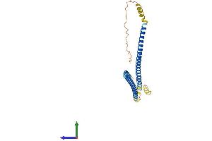 Protein Structure (PS) image for Synaptonemal Complex Central Element Protein 1-Like (SYCE1L) (AA 1-247) protein (His tag) (ABIN7557426)