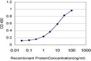 Detection limit for recombinant GST tagged CSNK1G1 is approximately 0. (CSNK1G1 抗体  (AA 293-393))