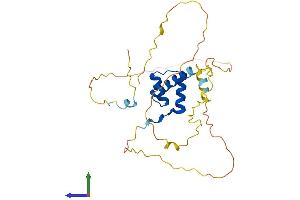 Protein Structure (PS) image for NK2 Homeobox 2 (Nkx2-2) (AA 1-273) protein (His tag) (ABIN7563248)