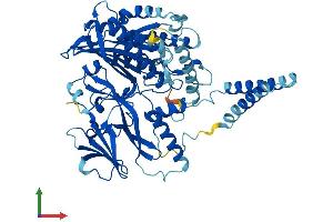 Protein Structure (PS) image for SAC1 Suppressor of Actin Mutations 1-Like (SACM1L) (AA 1-587) protein (His tag) (ABIN7561374)