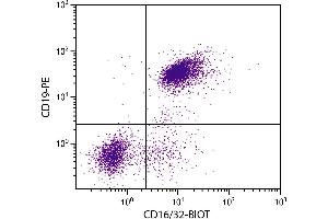 BALB/c mouse splenocytes were stained with Rat Anti-Mouse CD16/32-BIOT. (CD32/CD16 抗体  (Biotin))