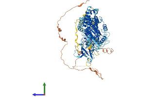 AlphaFold protein structure predicition of Human Recombinant DNM1 Protein, UniprotID Q05193