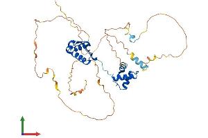 AlphaFold protein structure predicition of Mouse Recombinant Pax5 Protein, UniprotID Q02650