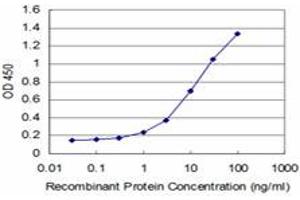 Detection limit for recombinant GST tagged HOXA5 is approximately 0. (HOXA5 抗体  (AA 171-270))