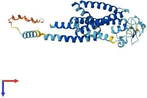 Ring Finger Protein 175 (RNF175) (AA 1-328) protein (His tag)