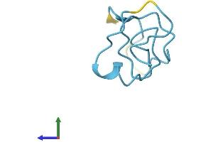 AlphaFold protein structure predicition of Human Recombinant MT1M Protein, UniprotID Q8N339