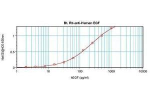 Image no. 1 for anti-Epidermal Growth Factor (EGF) antibody (Biotin) (ABIN465856) (EGF 抗体  (Biotin))