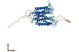 AlphaFold protein structure predicition of Human Recombinant MFSD8 Protein, UniprotID Q8NHS3 (MFSD8 Protein (AA 1-518) (His tag))