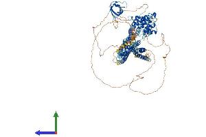 Protein Structure (PS) image for SLIT-ROBO rho GTPase Activating Protein 2 (SRGAP2) (AA 1-1071) protein (His tag) (ABIN7564827)