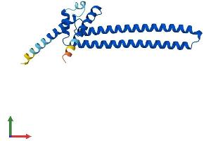 Protein Structure (PS) image for DiGeorge Syndrome Critical Region Gene 6 (DGCR6) (AA 1-198) protein (His tag) (ABIN7562305)