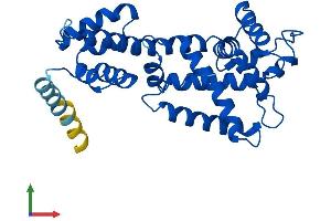 AlphaFold protein structure predicition of Human Recombinant ELMOD2 Protein, UniprotID Q8IZ81