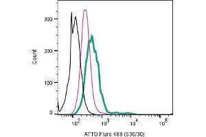 Cell surface detection of 5-Hydroxytryptamine receptor 1B by direct flow cytometry in live intact human  monocytic leukemia cell line: + Rabbit IgG Isotype Control-ATTO 488 (ABIN7582041). (5HT1B Receptor 抗体  (Extracellular) (Atto 488))