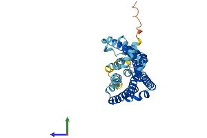 Protein Structure (PS) image for Olfactory Receptor, Family 5, Subfamily V, Member 1 (OR5V1) (AA 1-321) protein (His tag) (ABIN7550533)