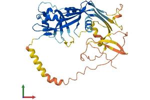 Protein Structure (PS) image for Deafness, Autosomal Recessive 59 (DFNB59) (AA 1-352) protein (His tag) (ABIN7550759)