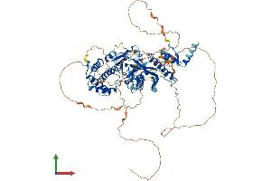 AlphaFold protein structure predicition of Human Recombinant TTLL3 Protein, UniprotID Q9Y4R7
