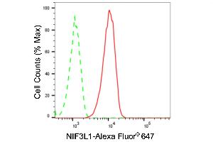 Flow cytometric analysis of NIF3L1 expression in HT- cells using NIF3L1 antibody (ABIN7799600), 1:2,000). (Recombinant NIF3L1 抗体)