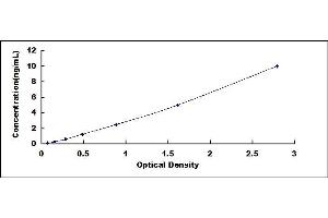 Typical standard curve (CYBB ELISA 试剂盒)