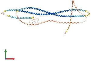 AlphaFold protein structure predicition of Human Recombinant SCARA3 Protein, UniprotID Q6AZY7