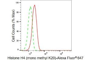Flow cytometric analysis of Histone H4 (mono methyl K20) expression in C2C12 cells using Histone H4 (mono methyl K20) antibody (ABIN7798981), 1:2,000). (Recombinant Histone H4 抗体  (H4K20me1))