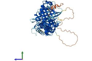 Protein Structure (PS) image for Zwilch, Kinetochore Associated, Homolog (ZWILCH) (AA 1-591) protein (His tag) (ABIN7545843)