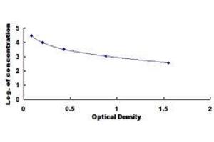 Fibrinopeptide A (FPA) ELISA Kit