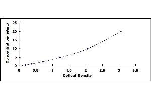 Typical standard curve (SLC18A3 ELISA 试剂盒)