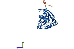 Protein Structure (PS) image for Ras-Like Without CAAX 2 (RIT2) (AA 1-217) protein (His tag) (ABIN7556719)