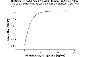 Immobilized Biotinylated SARS-CoV-2 S protein trimer, His,Avitag (ABIN6992367) at 1 μg/mL (100 μL/well) on streptavidin  precoated (0. (SARS-CoV-2 Spike Protein (P.1 - gamma, Trimer) (His tag,AVI tag,Biotin))