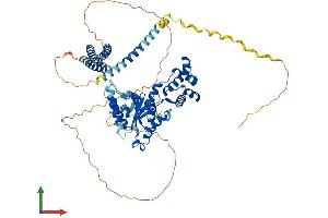 Protein Structure (PS) image for Spastin (SPAST) (AA 1-616) protein (His tag) (ABIN7555600)