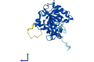 Protein Structure (PS) image for Proteasome (Prosome, Macropain) Assembly Chaperone 2 (PSMG2) (AA 1-264) protein (His tag) (ABIN7551028)
