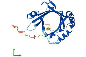 Protein Structure (PS) image for Mediator Complex Subunit 18 (MED18) (AA 1-208) protein (His tag) (ABIN7549348)