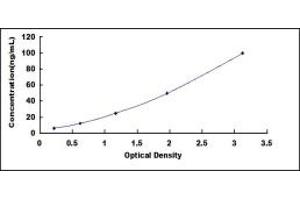 Typical standard curve (ICAM1 ELISA 试剂盒)