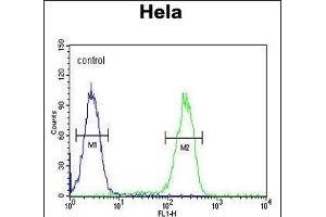 UBA52 Antibody (C-Term) (ABIN654135 and ABIN2844007) flow cytometric analysis of Hela cells (right histogram) compared to a negative control cell (left histogram). (UBA52 抗体  (C-Term))