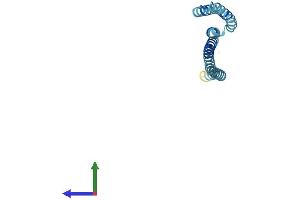 AlphaFold protein structure predicition of Mouse Recombinant Gosr2 Protein, UniprotID O35166 (GOSR2 Protein (AA 1-212) (His tag))