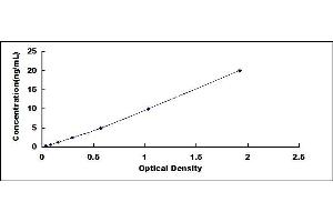 Typical standard curve (ERAP2 ELISA 试剂盒)