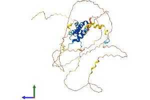 AlphaFold protein structure predicition of Human Recombinant SOX8 Protein, UniprotID P57073 (SOX8 Protein (AA 1-446) (His tag))