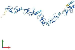 AlphaFold protein structure predicition of Mouse Recombinant Lims2 Protein, UniprotID Q91XD2