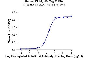 Immobilized Human DLL4, hFc Tag at 1 μg/mL (100 μL/Well) on the plate. (DLL4 Protein (AA 27-524) (Fc Tag))