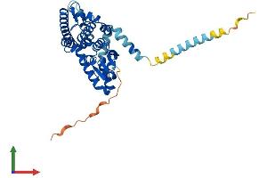 Protein Structure (PS) image for Ganglioside-Induced Differentiation-Associated Protein 1 (GDAP1) (AA 1-358) protein (His tag) (ABIN7547937)