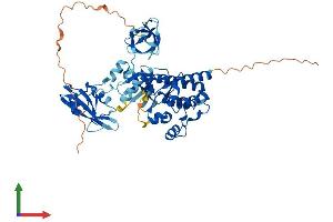 Protein Structure (PS) image for Megakaryocyte-Associated tyrosine Kinase (MATK) (AA 1-507) protein (His tag) (ABIN7549253)