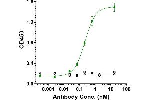 Immobilized human PD-L1 FC at 2 μg/mL can bind Anti-TGFb1 Reference Antibody (M7824), EC50=0. (Recombinant TGFB1 抗体)