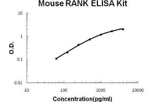 Mouse RANK PicoKine ELISA Kit standard curve (TNFRSF11A ELISA 试剂盒)
