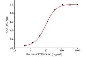 Activity Assay (AcA) image for CD99 (CD99) (AA 23-122) (Active) protein (His-Fc tag) (ABIN7607327)