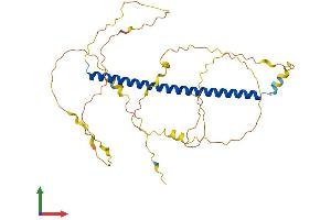 Protein Structure (PS) image for CAMP Responsive Element Binding Protein 5 (CREB5) (AA 1-357) protein (His tag) (ABIN7559477)