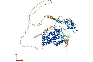 AlphaFold protein structure predicition of Human Recombinant NR5A2 Protein, UniprotID O00482